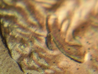 1997-Lincoln-Memorial-Cent-Doubled-Die-Ear-But-What-One?-Or-Die-Crack